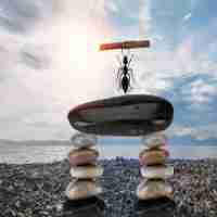 自​己‌云﻿服‍务﻿器﻿